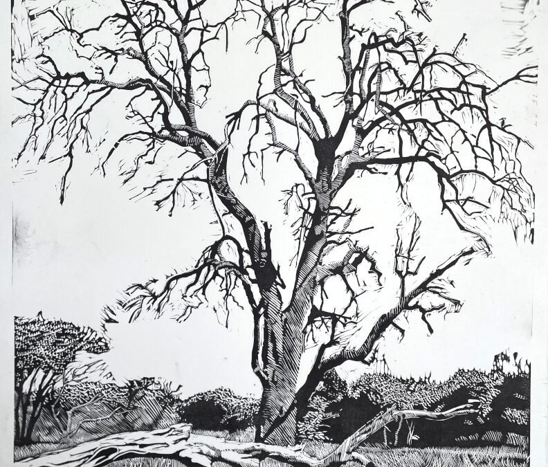 LEADWOOD TREE, 2015 (LINOCUT)